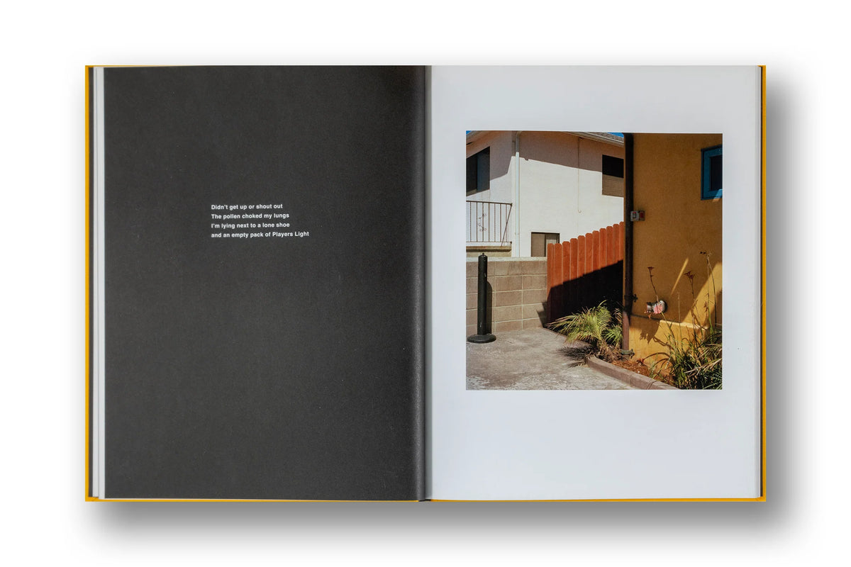 Jason Fulford - Picture Summer on Kodak Film
