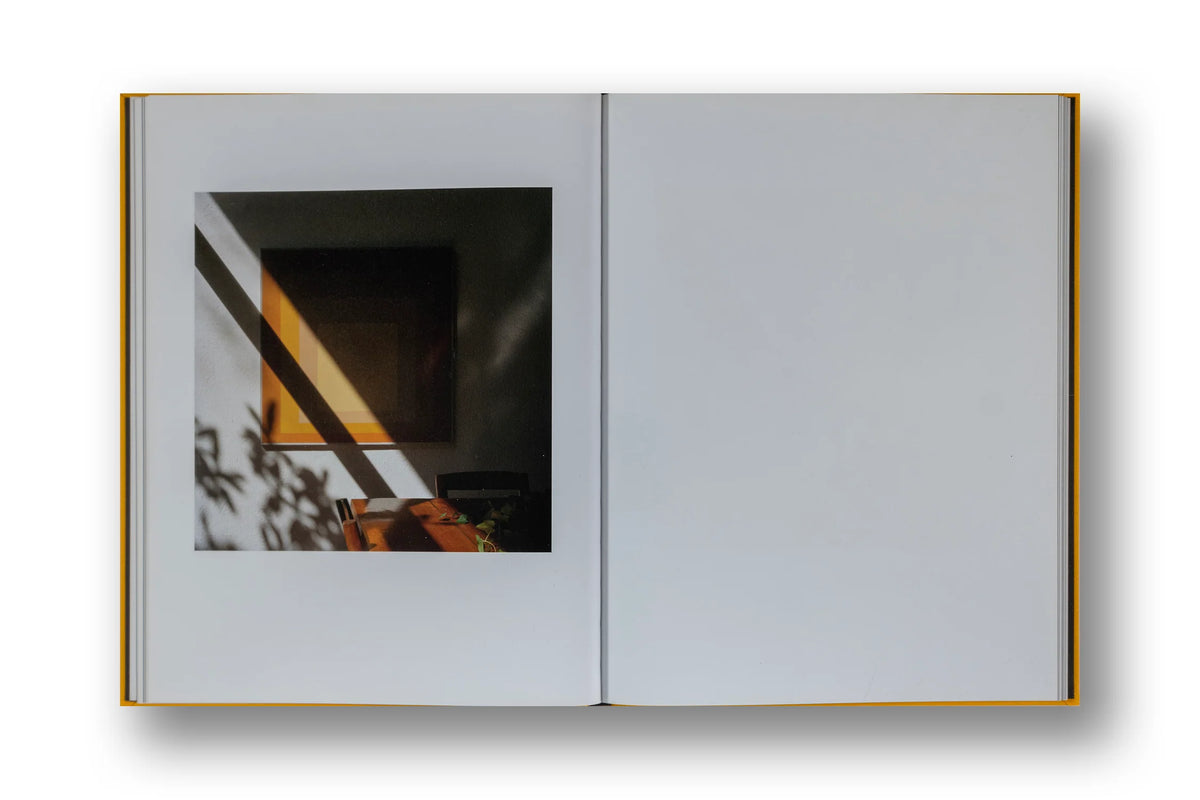 Jason Fulford - Picture Summer on Kodak Film