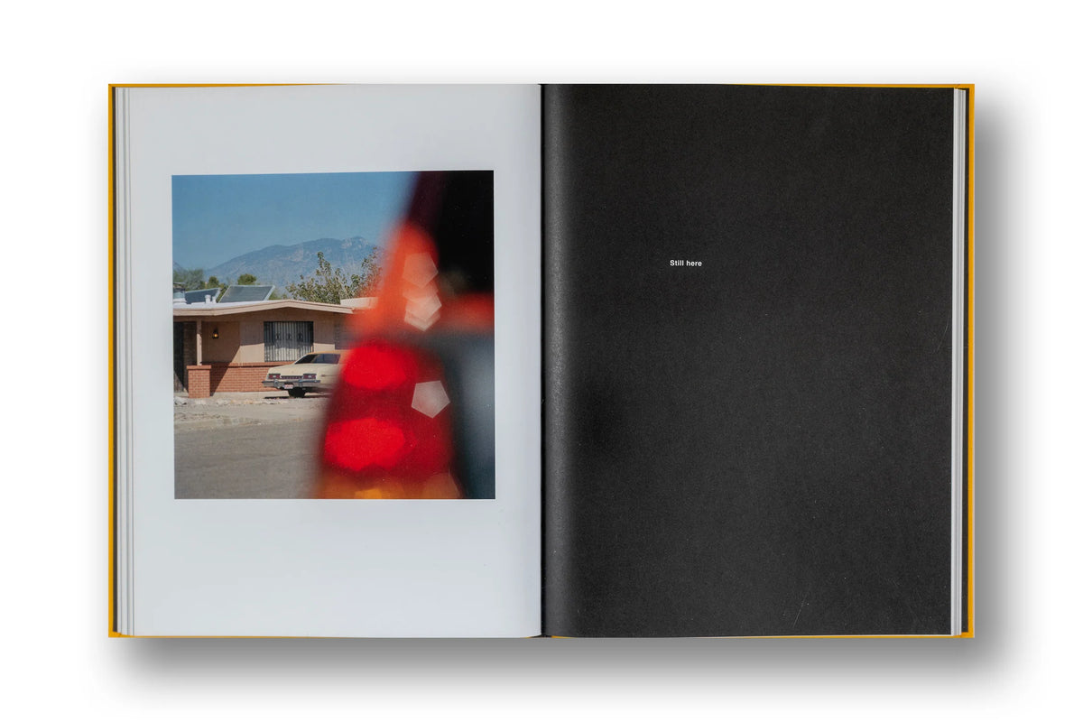 Jason Fulford - Picture Summer on Kodak Film