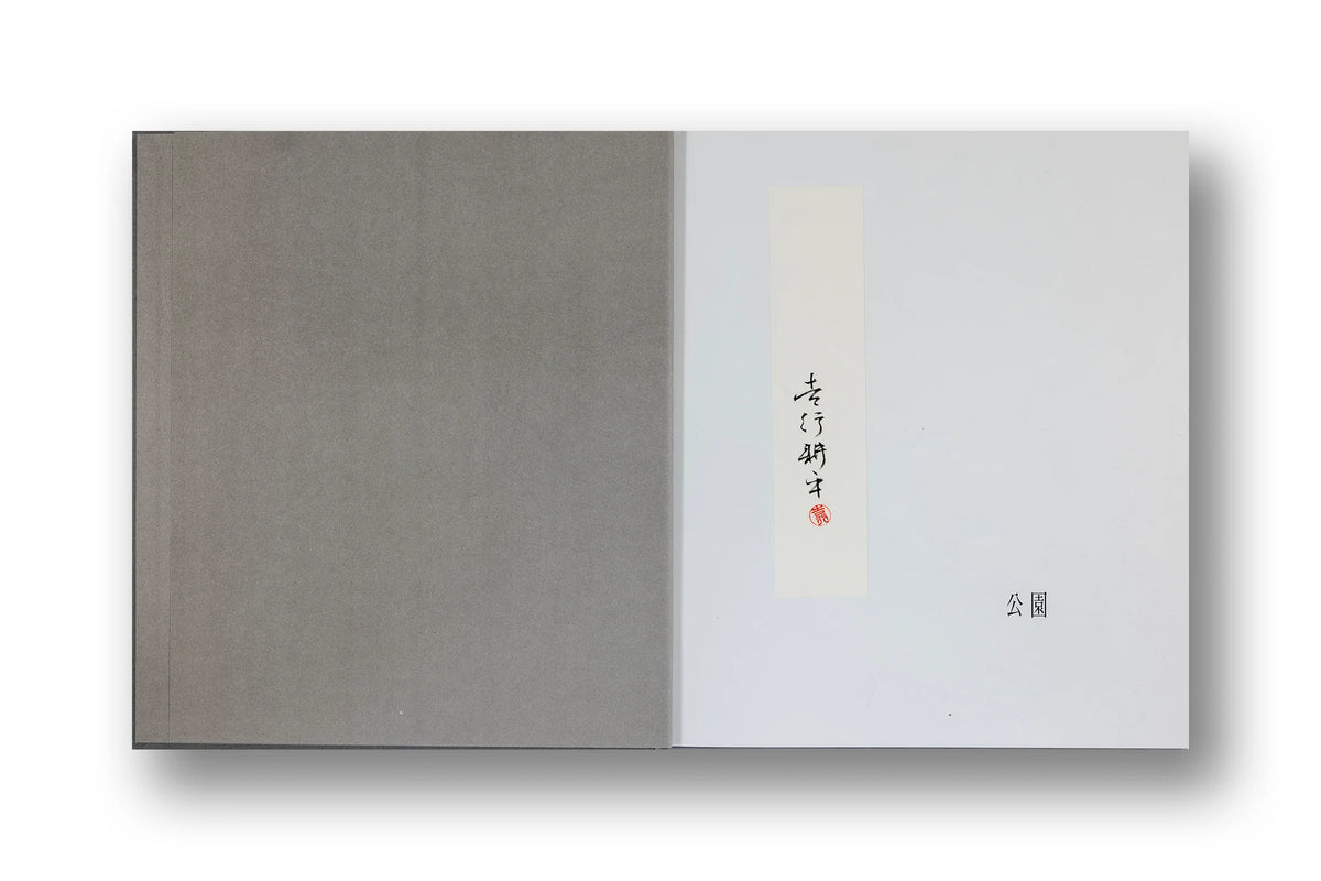 Kohei Yoshiyuku, The Park, Limited Edition