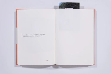 Because - Sophie Calle
