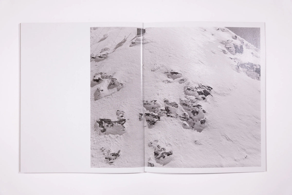 Awoiska Van Der Molen, The Living