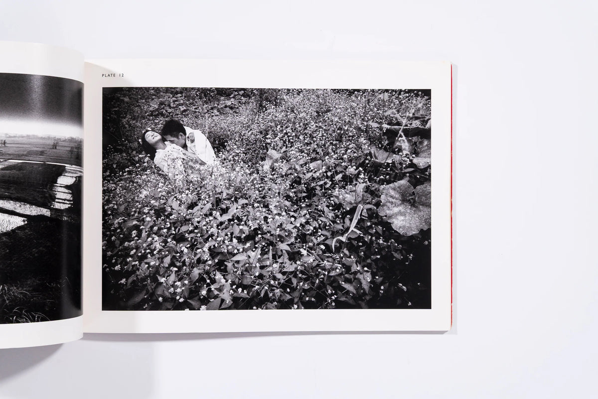 Eikoh Hosoe (Untitled 42) - Hosoe, Eikoh (8+)