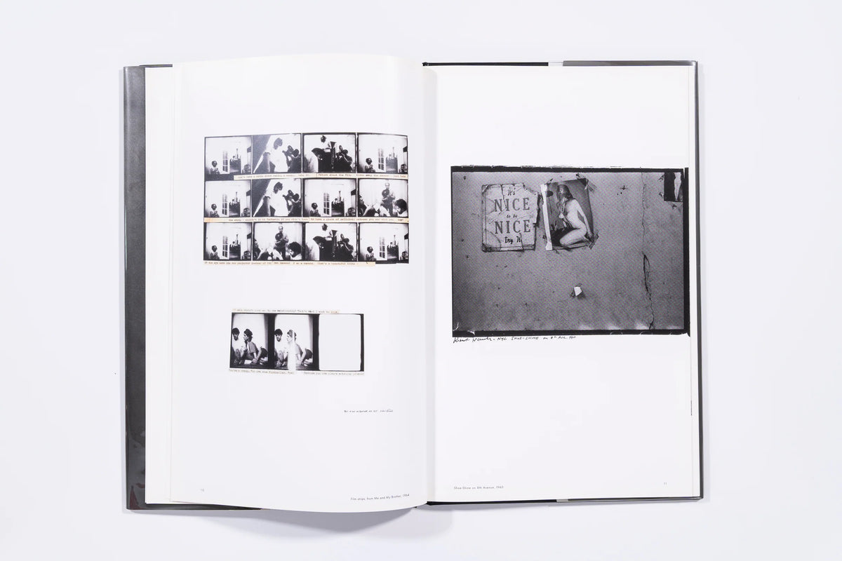 Flamingo - Robert Frank (9)