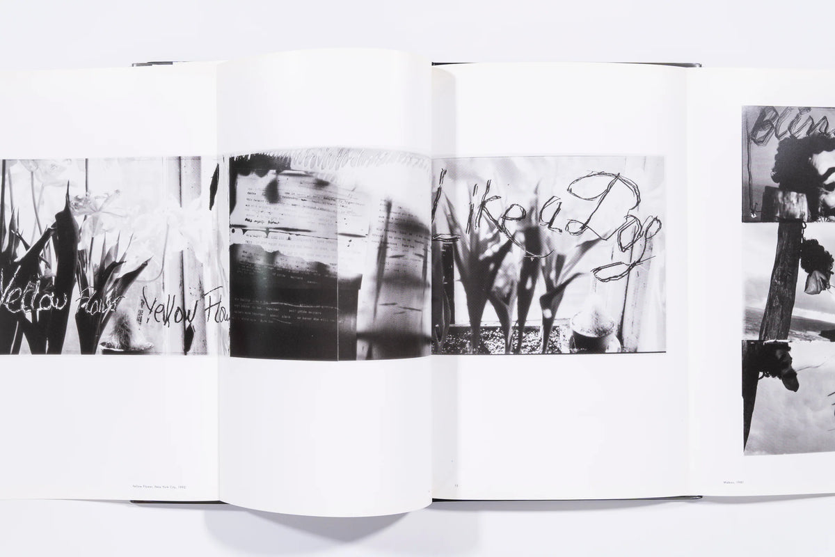 Flamingo - Robert Frank (9)