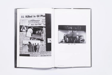 Flamingo - Robert Frank (9)
