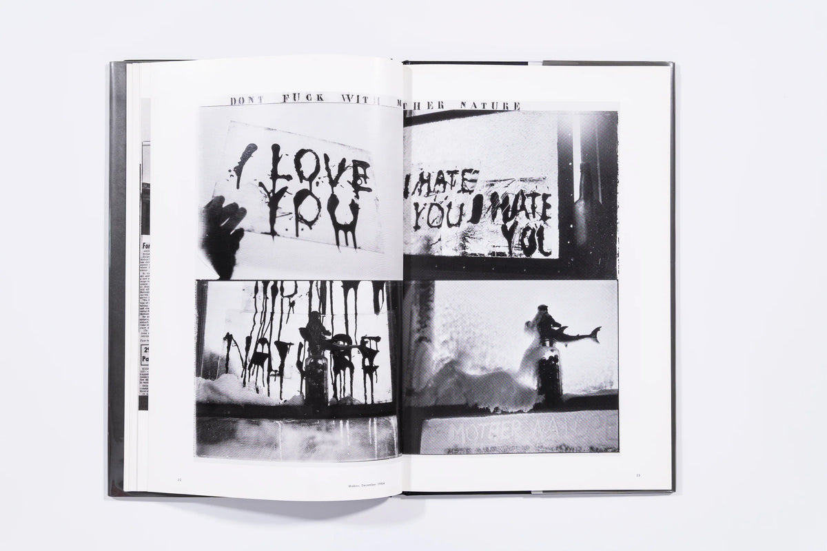 Flamingo - Robert Frank (9)