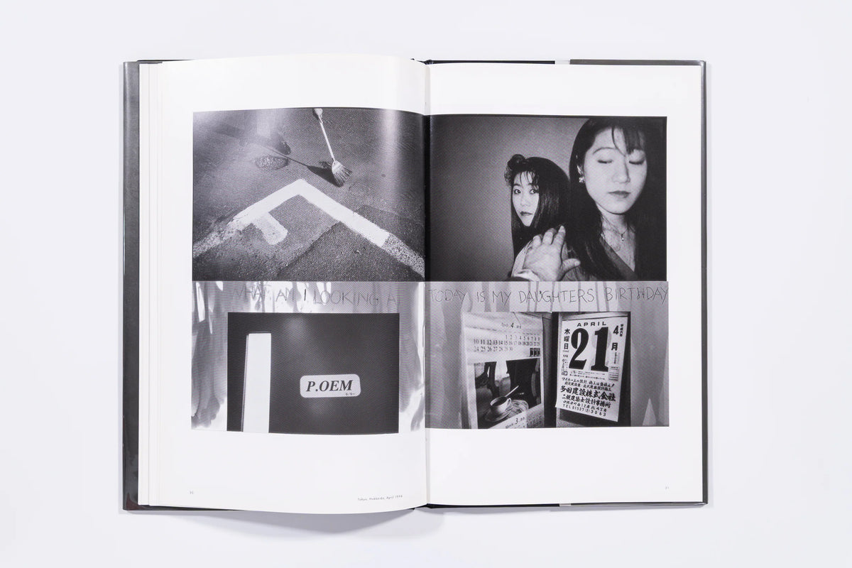 Flamingo - Robert Frank (9)