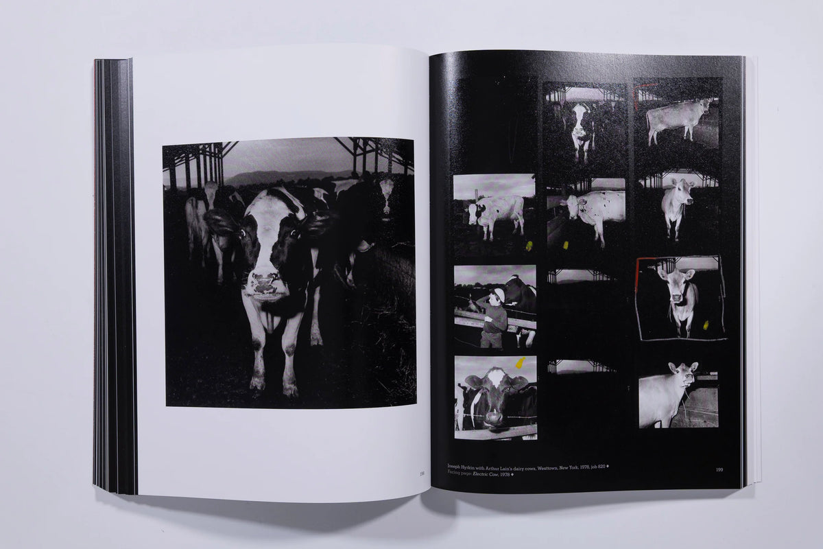 Hujar:Contact - Peter Hujar