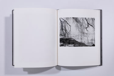 Arboreal - Virginia Wilcox (signed)