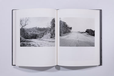 Arboreal - Virginia Wilcox (signed)