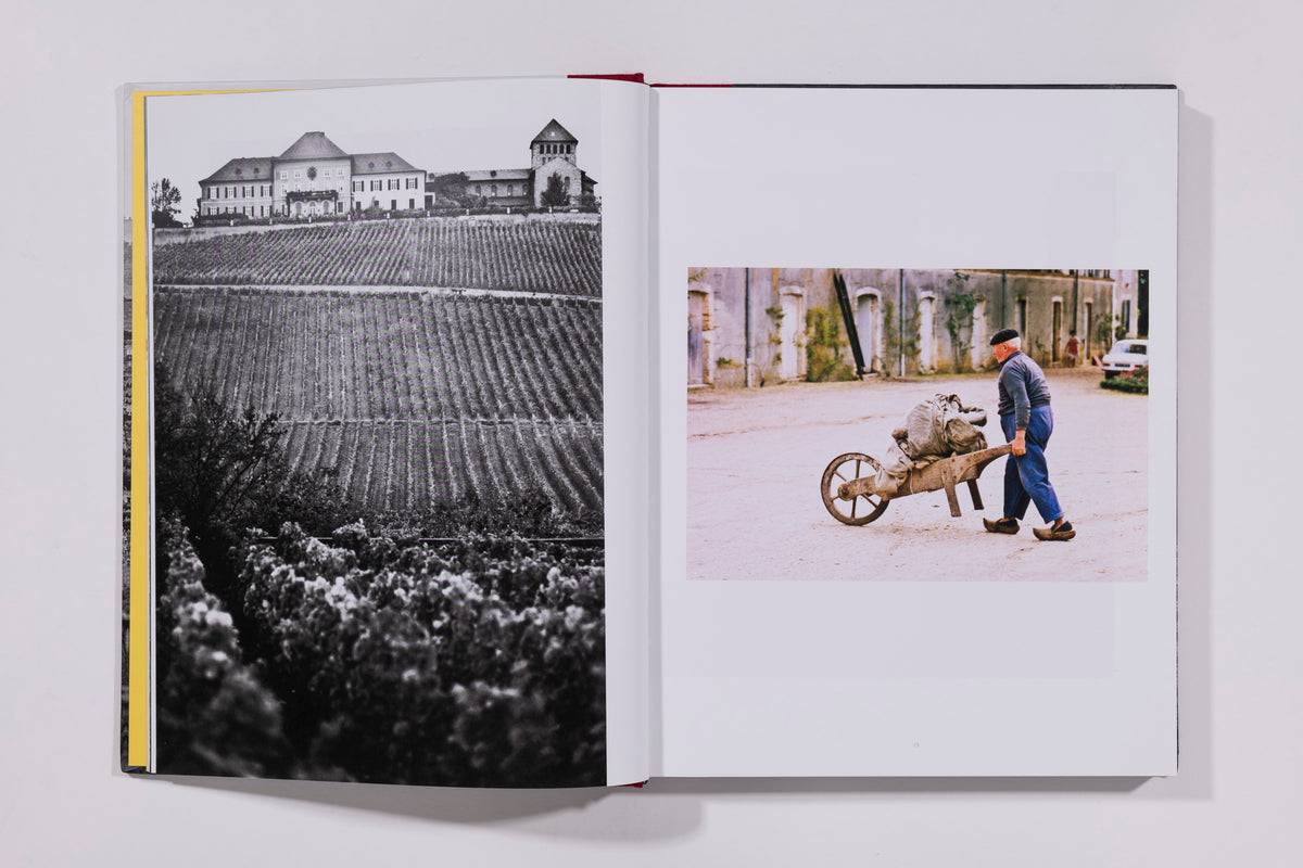 Fred Lyon, Vineyards, Signed