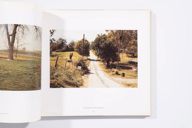 The Democratic Forest - William Eggleston (8+)