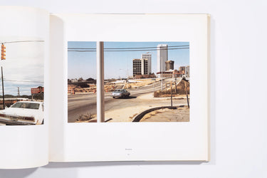The Democratic Forest - William Eggleston (8+)