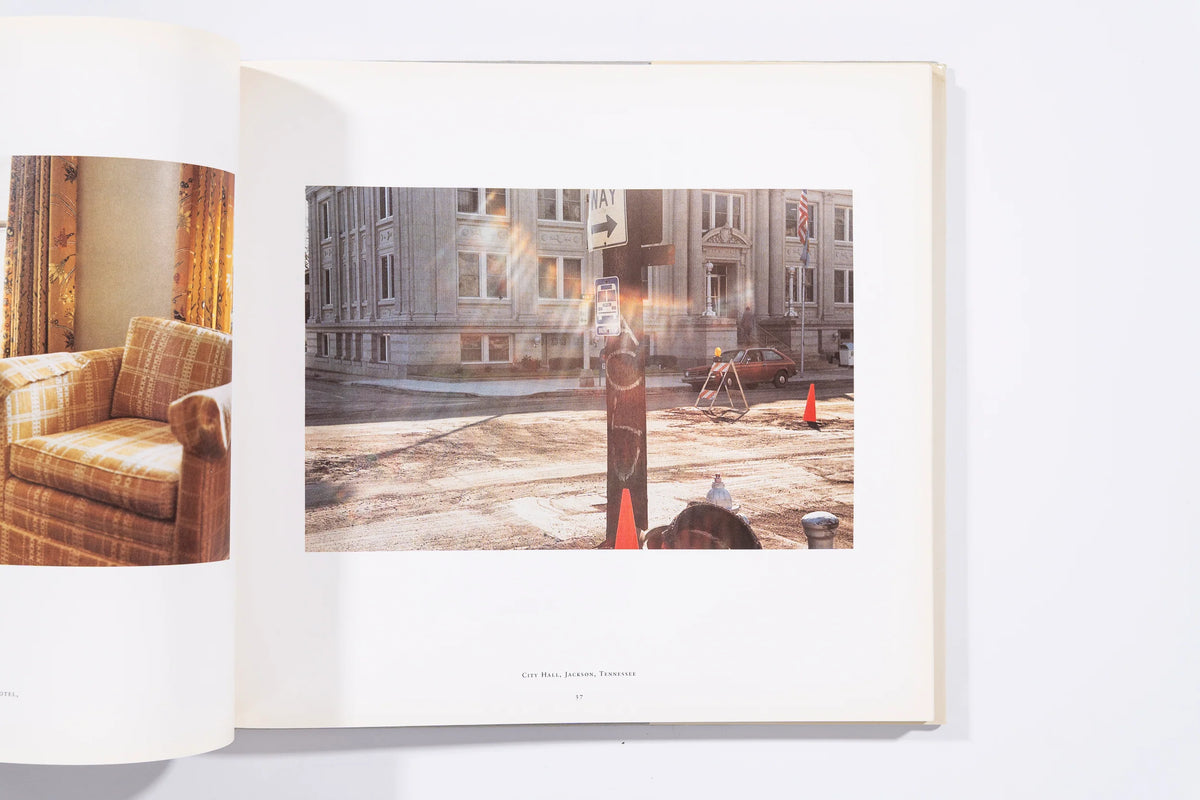 The Democratic Forest - William Eggleston (8+)