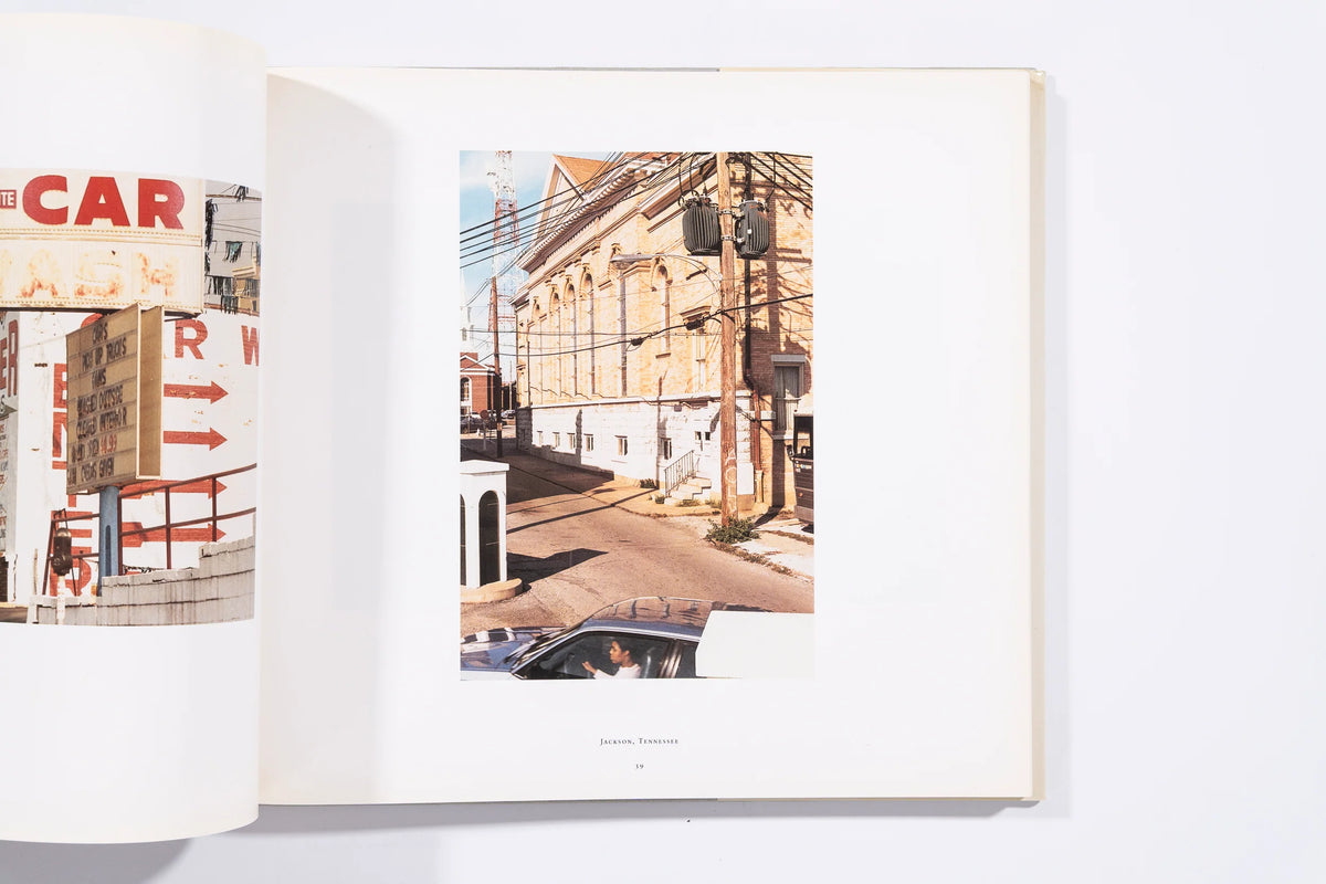 The Democratic Forest - William Eggleston (8+)