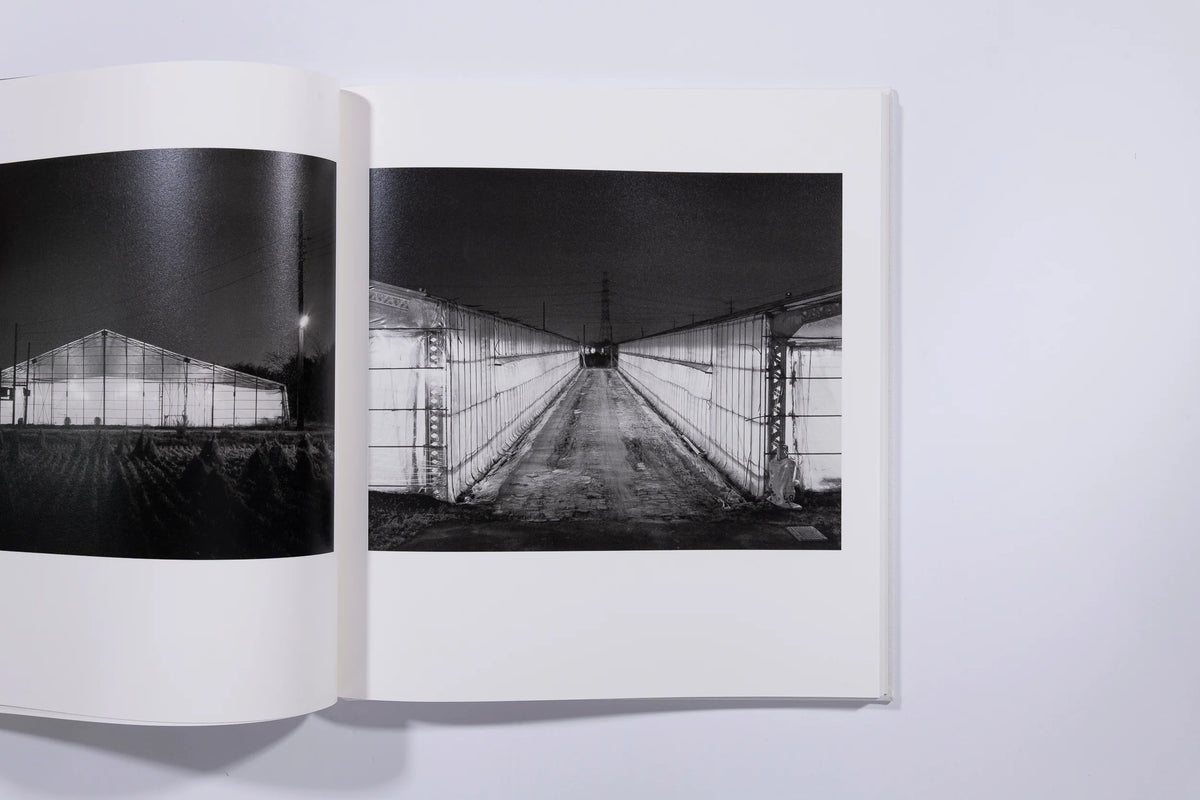 Day for Night - Toshio Shibata (signed)  (9+)