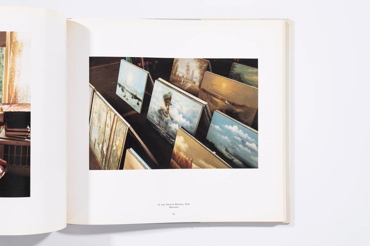 The Democratic Forest - William Eggleston (8+)