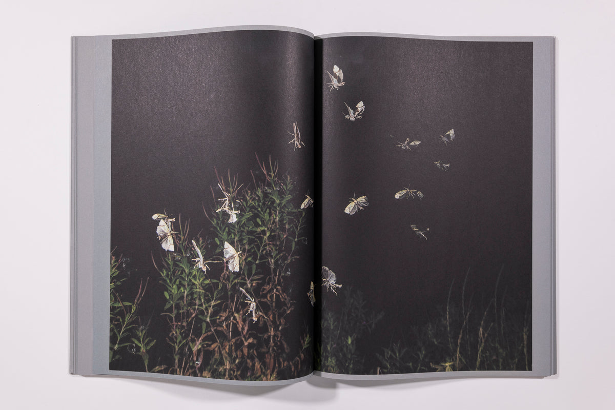 Rogier Maaskant  Sense of Presence