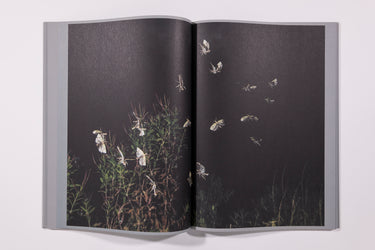 Rogier Maaskant  Sense of Presence