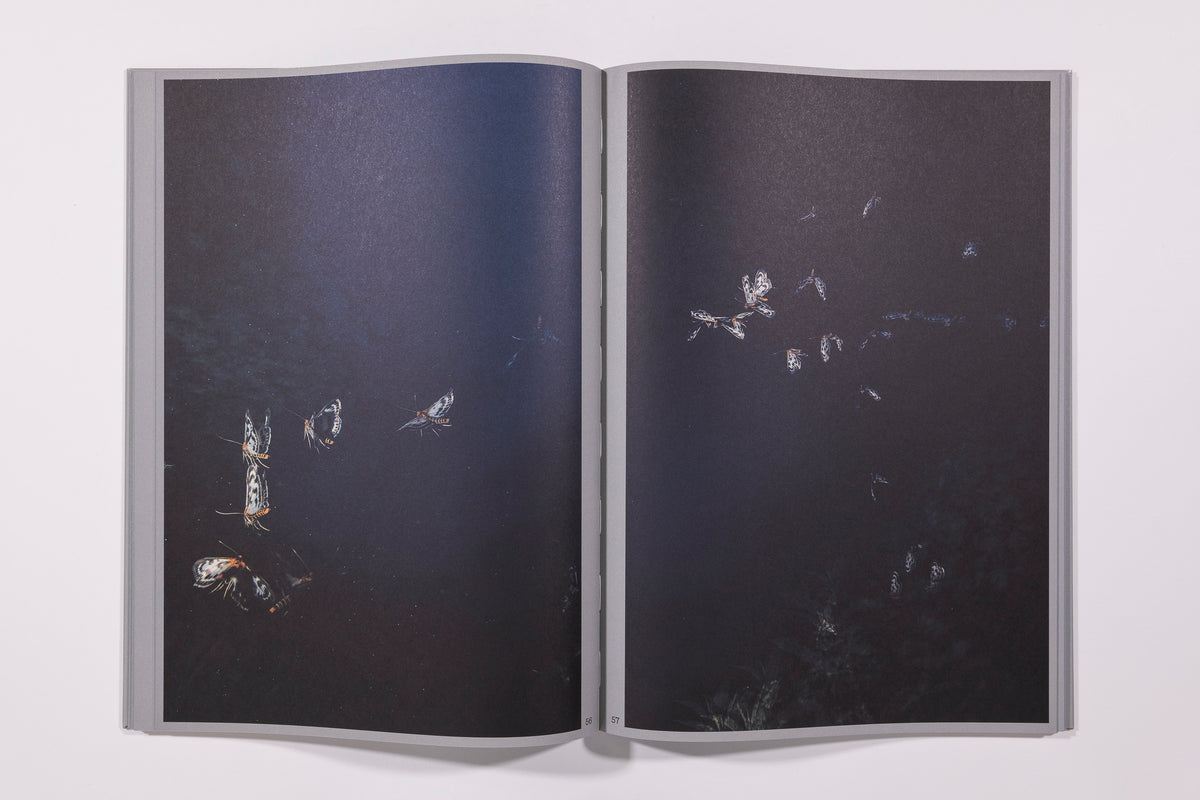 Rogier Maaskant  Sense of Presence