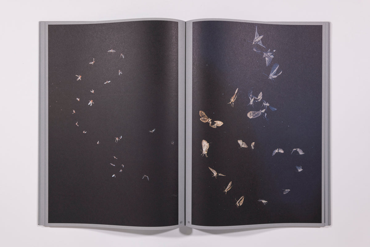 Rogier Maaskant  Sense of Presence