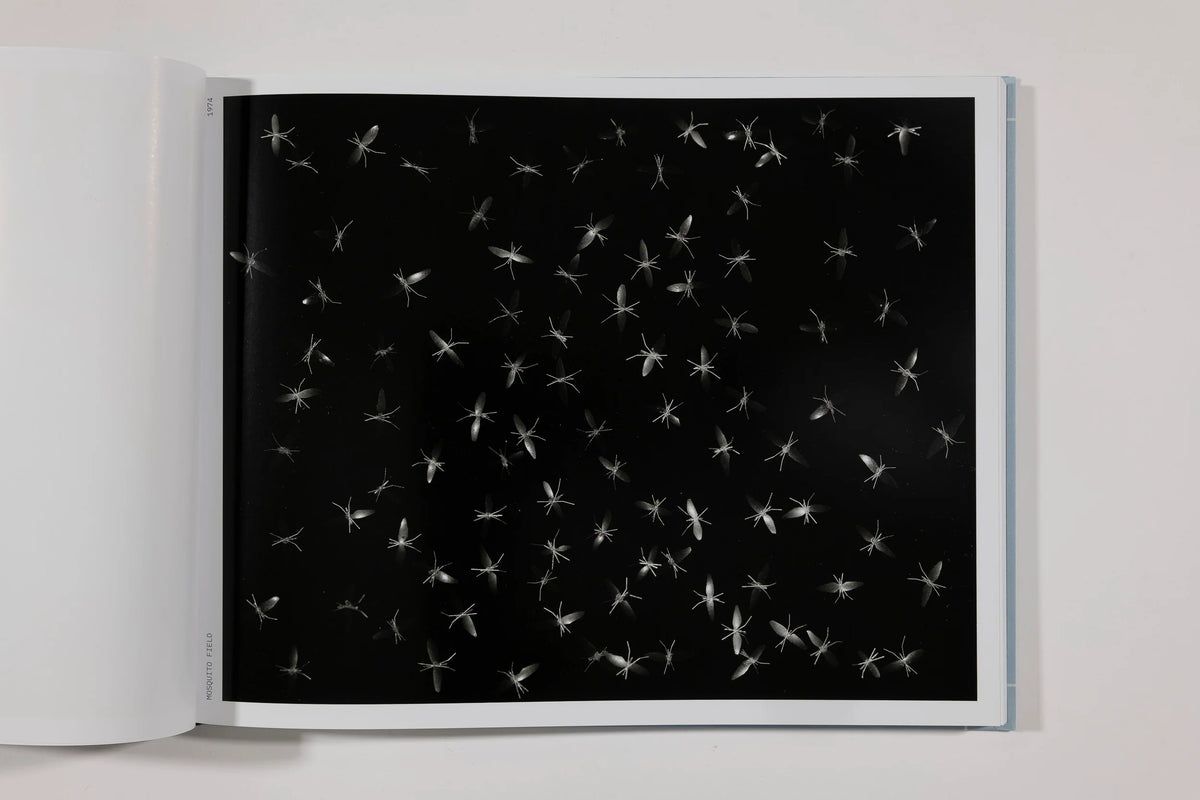 Robert Cumming, Very Pictorial Conceptual Art
