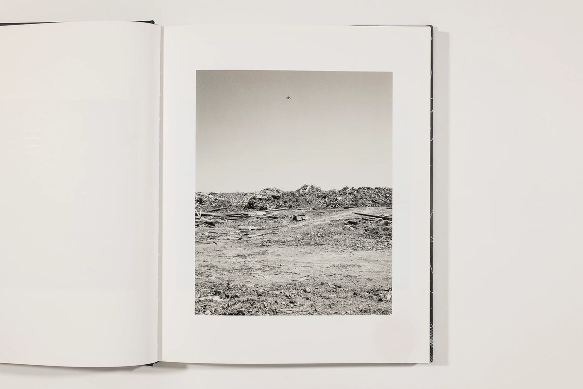 Mimi Plumb, The Golden City