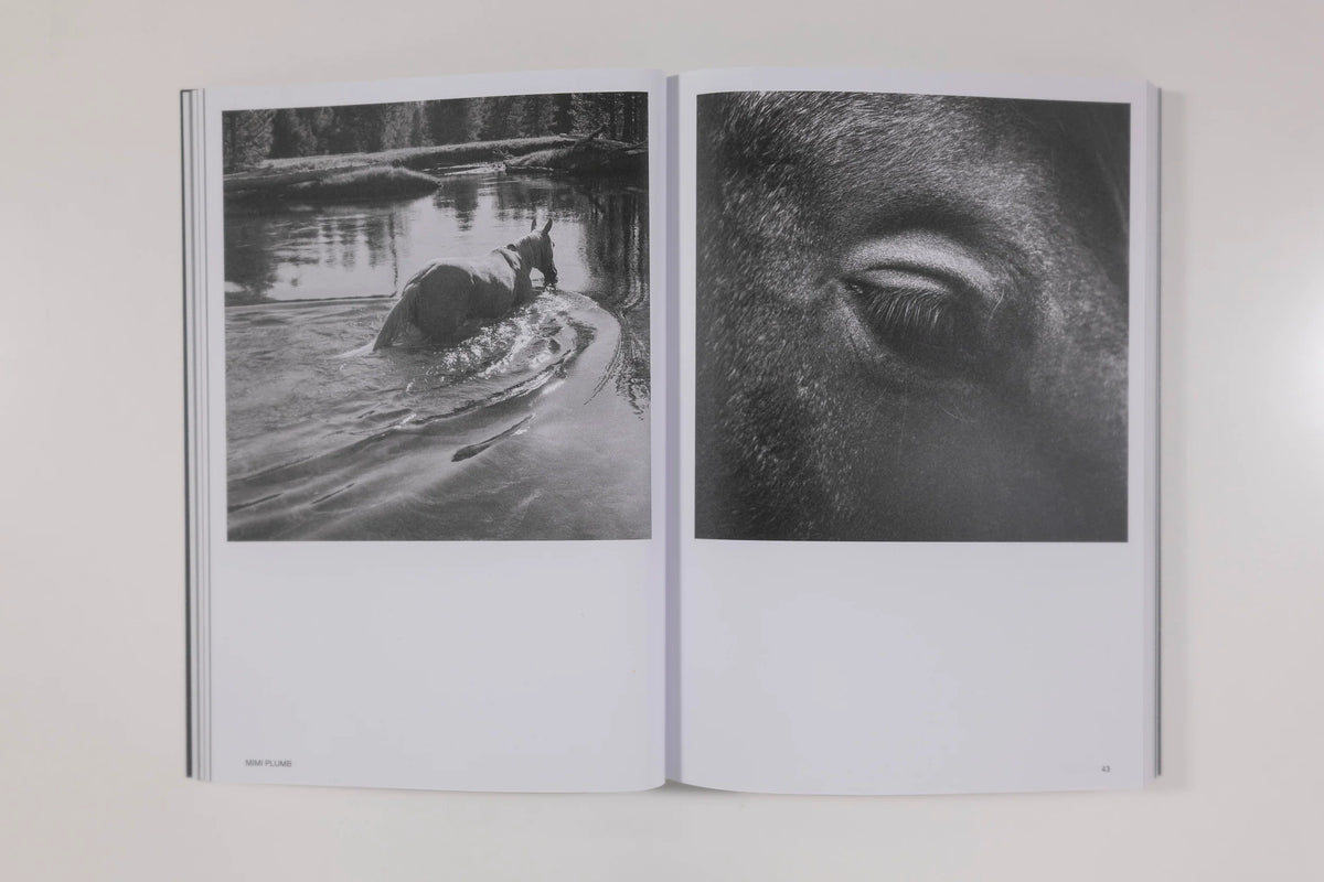Hotshoe Magazine - An Emotional Landscape