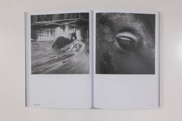 Hotshoe Magazine - An Emotional Landscape