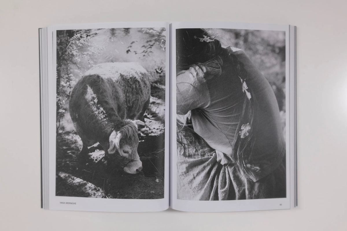 Hotshoe Magazine - An Emotional Landscape