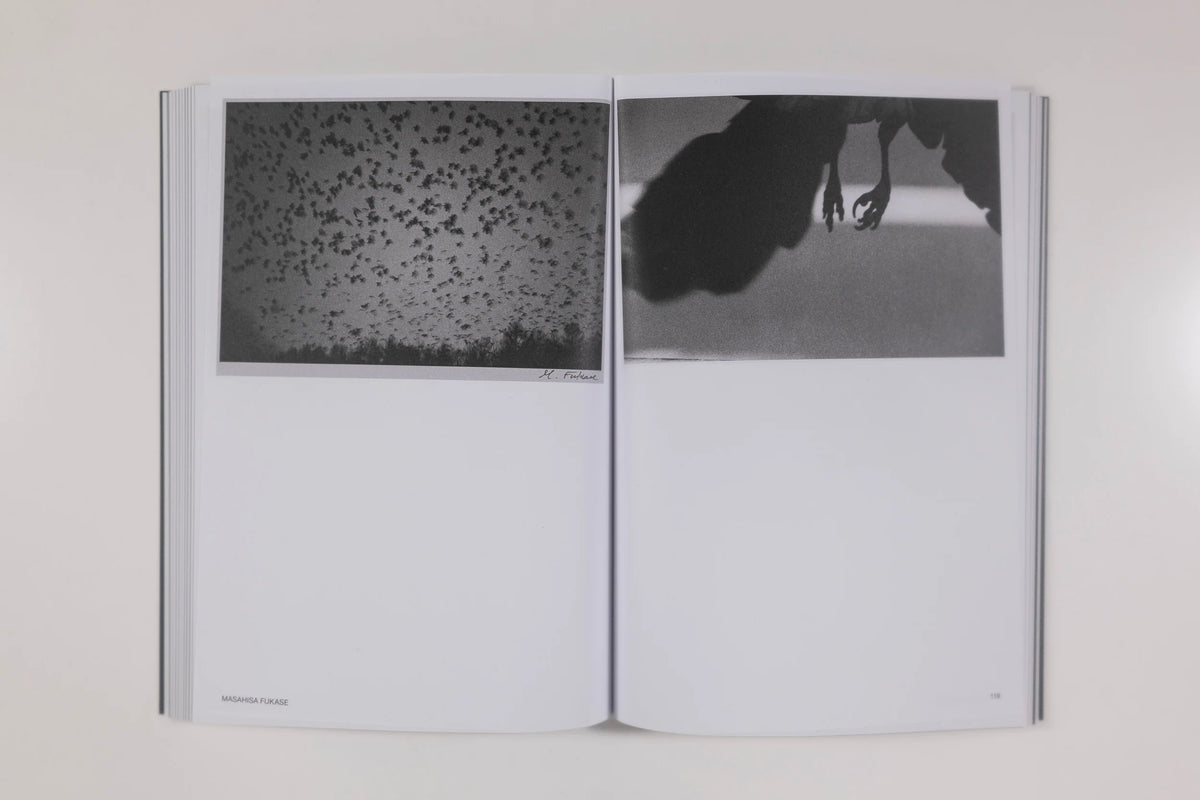 Hotshoe Magazine - An Emotional Landscape