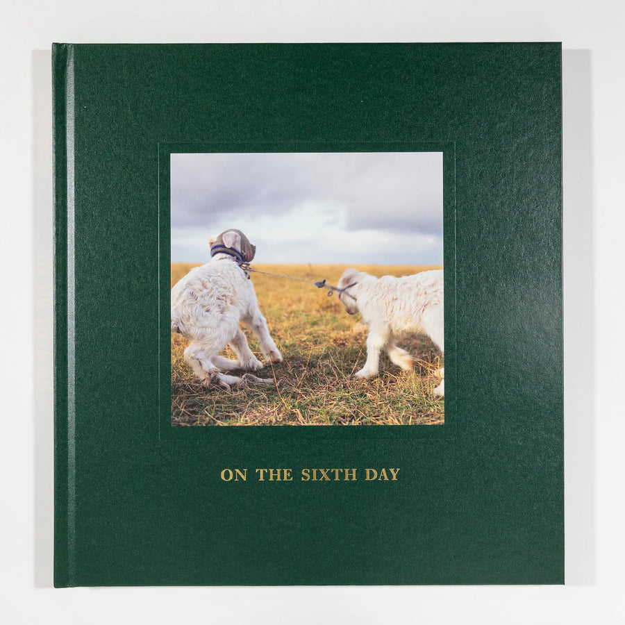 Alessandra Sanguinetti, On the Sixth Day