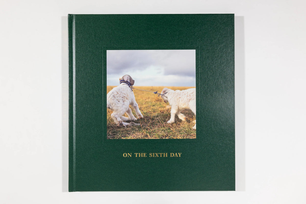 Alessandra Sanguinetti, On the Sixth Day