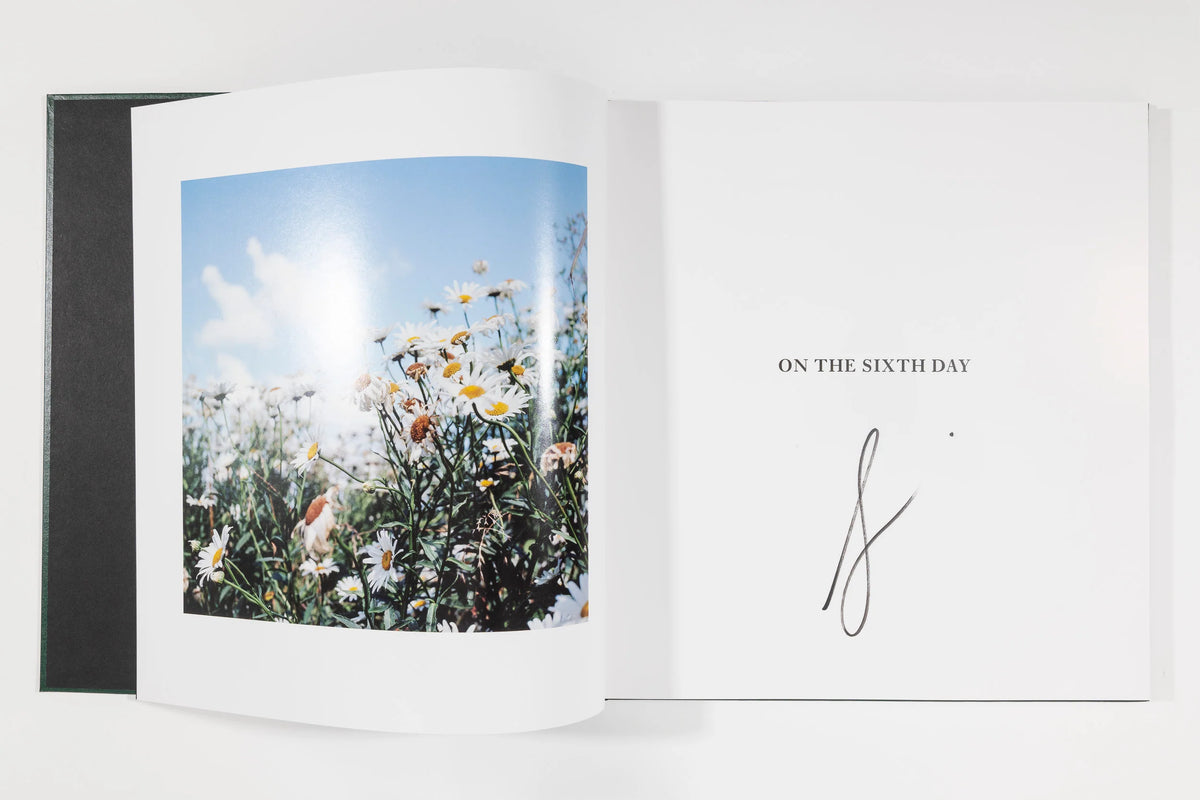 Alessandra Sanguinetti, On the Sixth Day