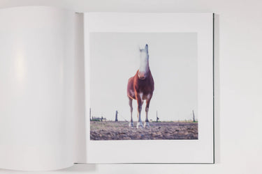 Alessandra Sanguinetti, On the Sixth Day