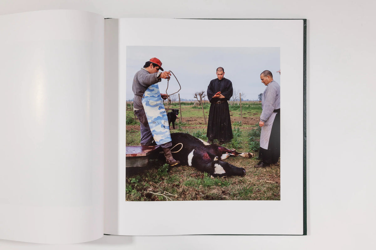 Alessandra Sanguinetti, On the Sixth Day