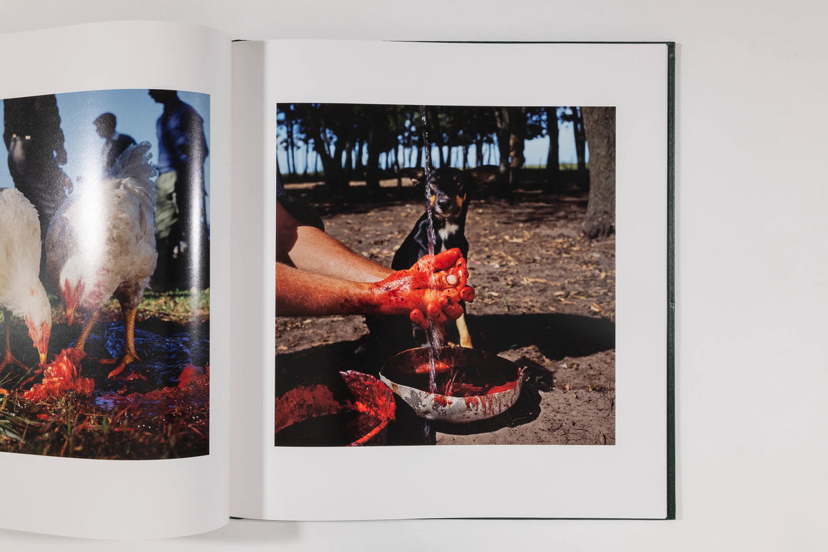 Alessandra Sanguinetti, On the Sixth Day