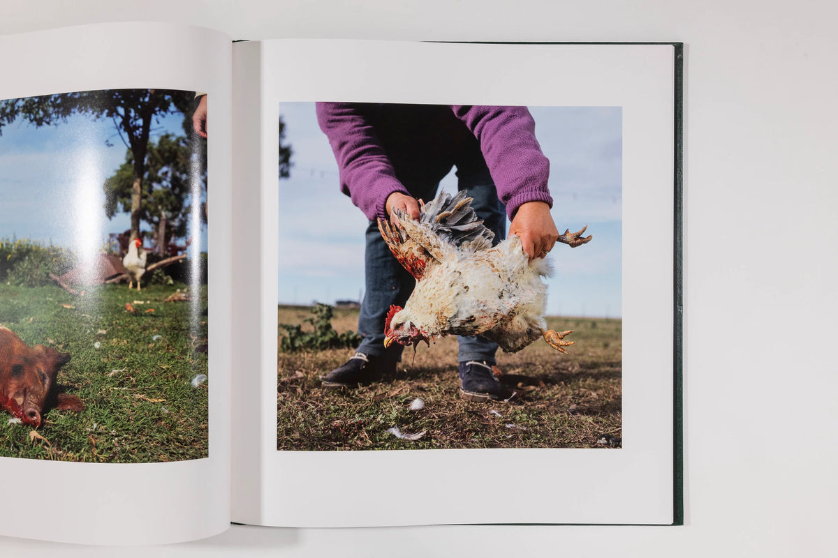 Alessandra Sanguinetti, On the Sixth Day