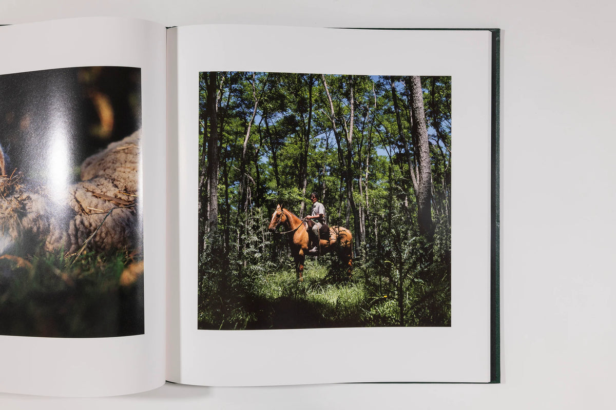Alessandra Sanguinetti, On the Sixth Day