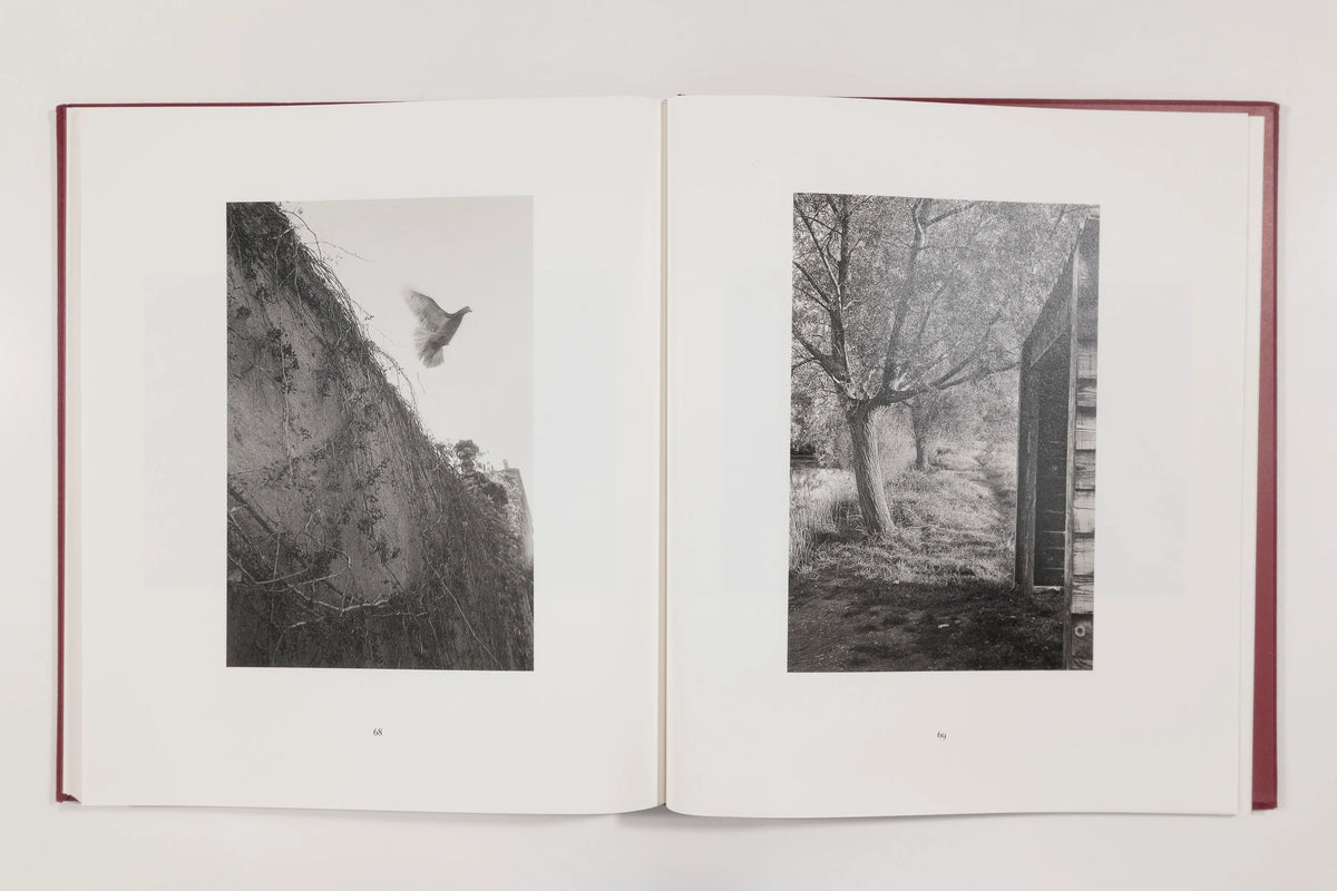 Mark Steinmetz, Paris 1987 (signed)