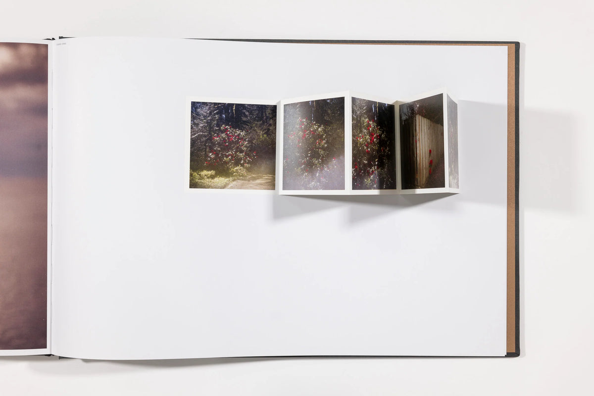 Todd Hido: The End Sends Advance Warning