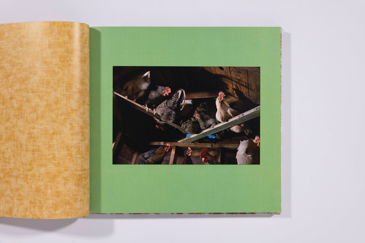 Stone Soup - Eric Ruby