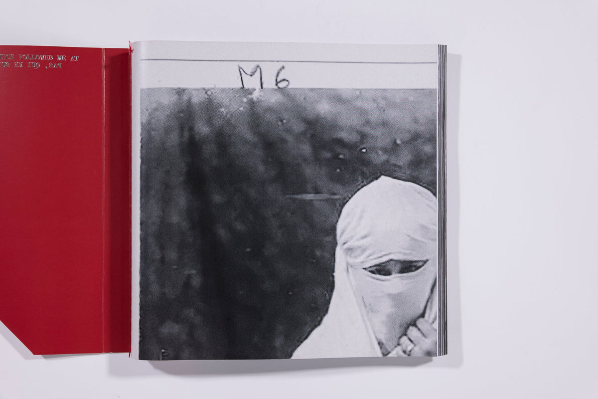 The Fold - Hoda Afshar
