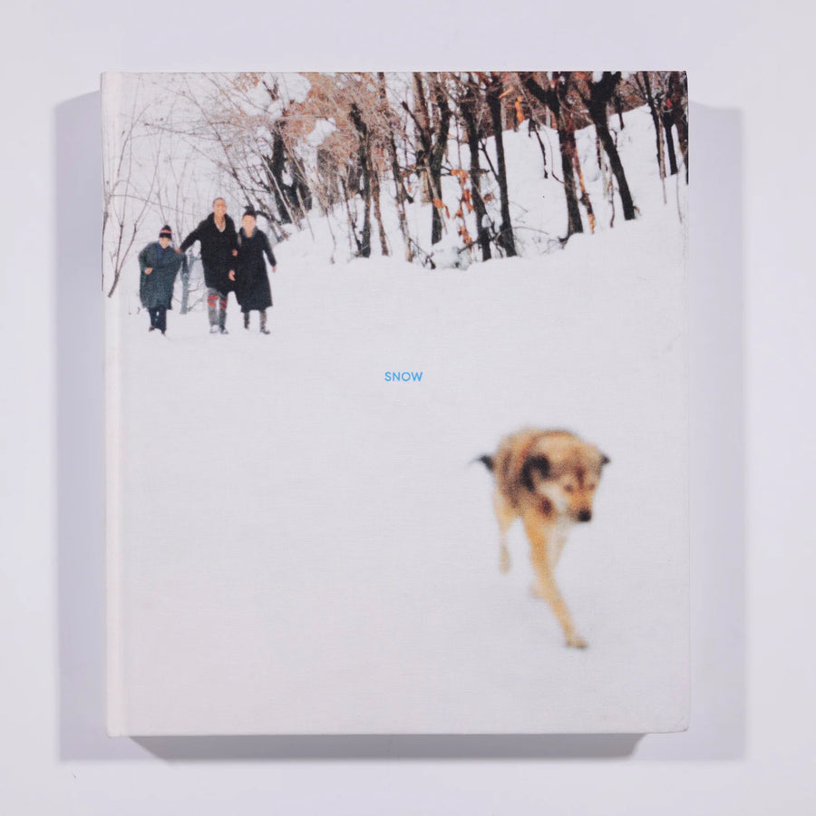 Snow - Sohrab Hura