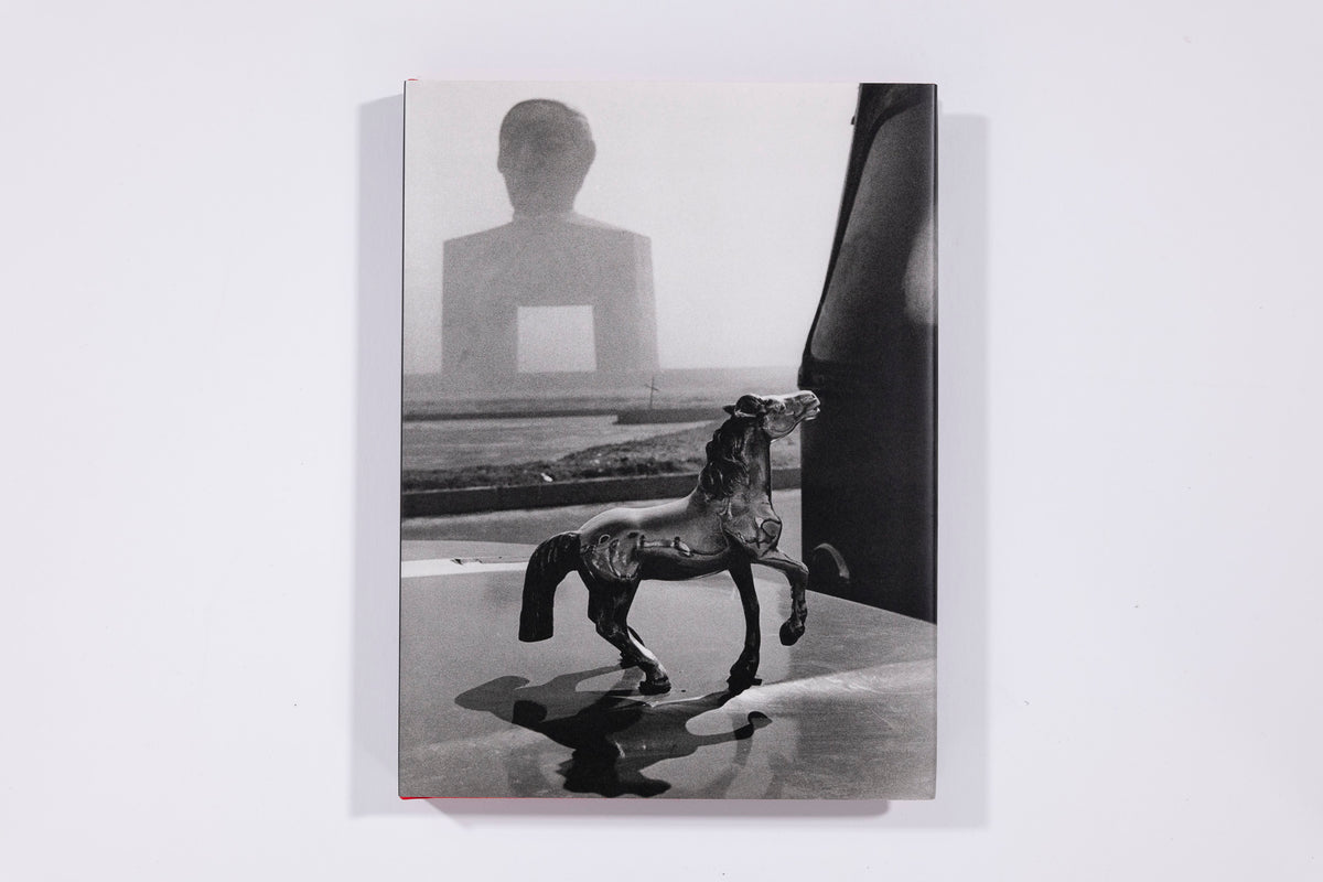 Pablo Ortiz Monasterio: The Last City