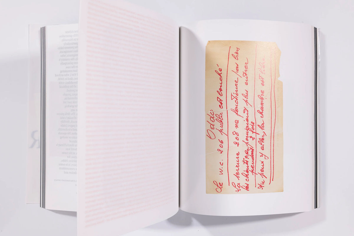 Sophie Calle & Jean-Paul Demoule: The Elevator Resides in 501