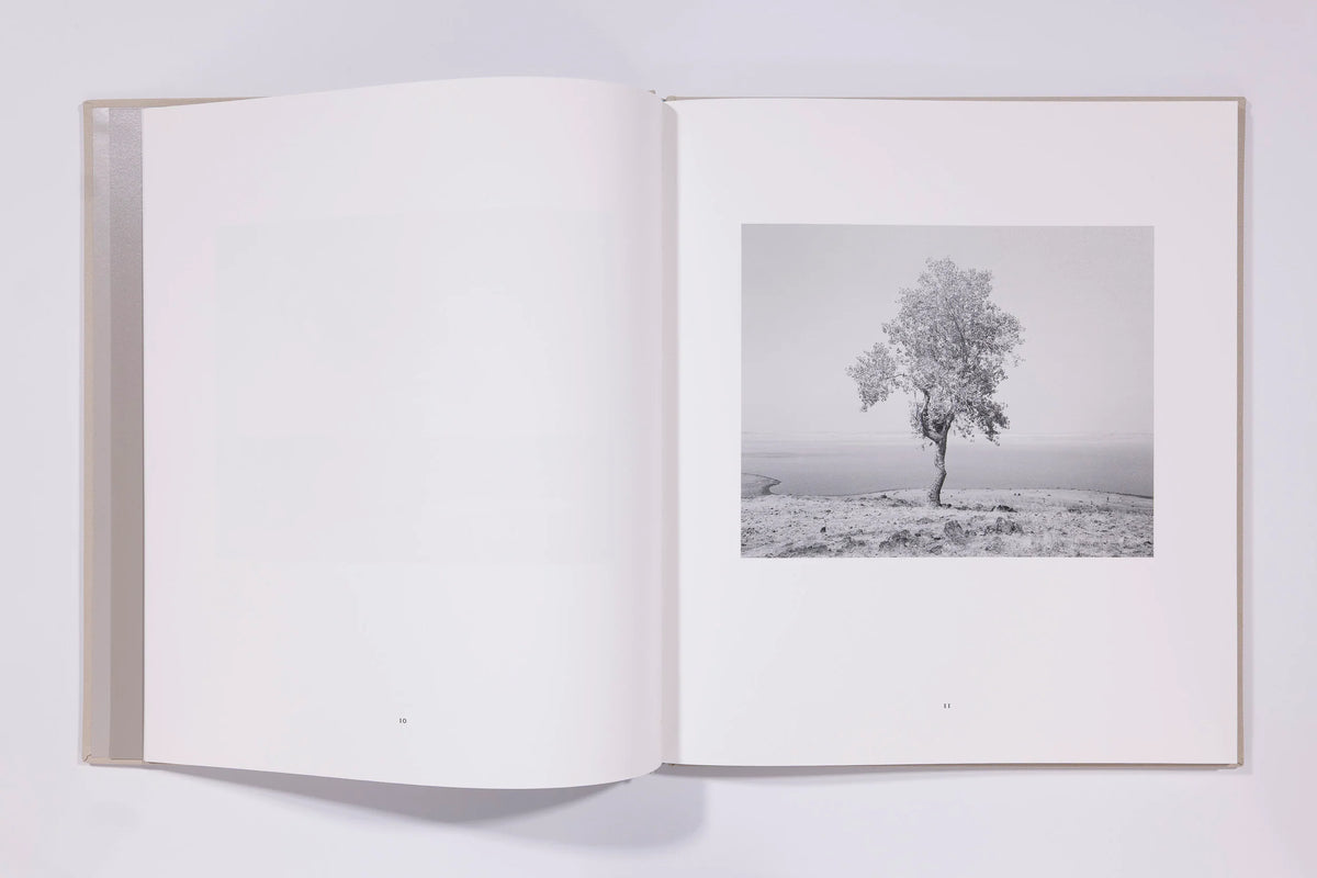 Mimi Plumb, The Reservoir