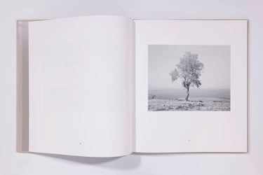 Mimi Plumb, The Reservoir