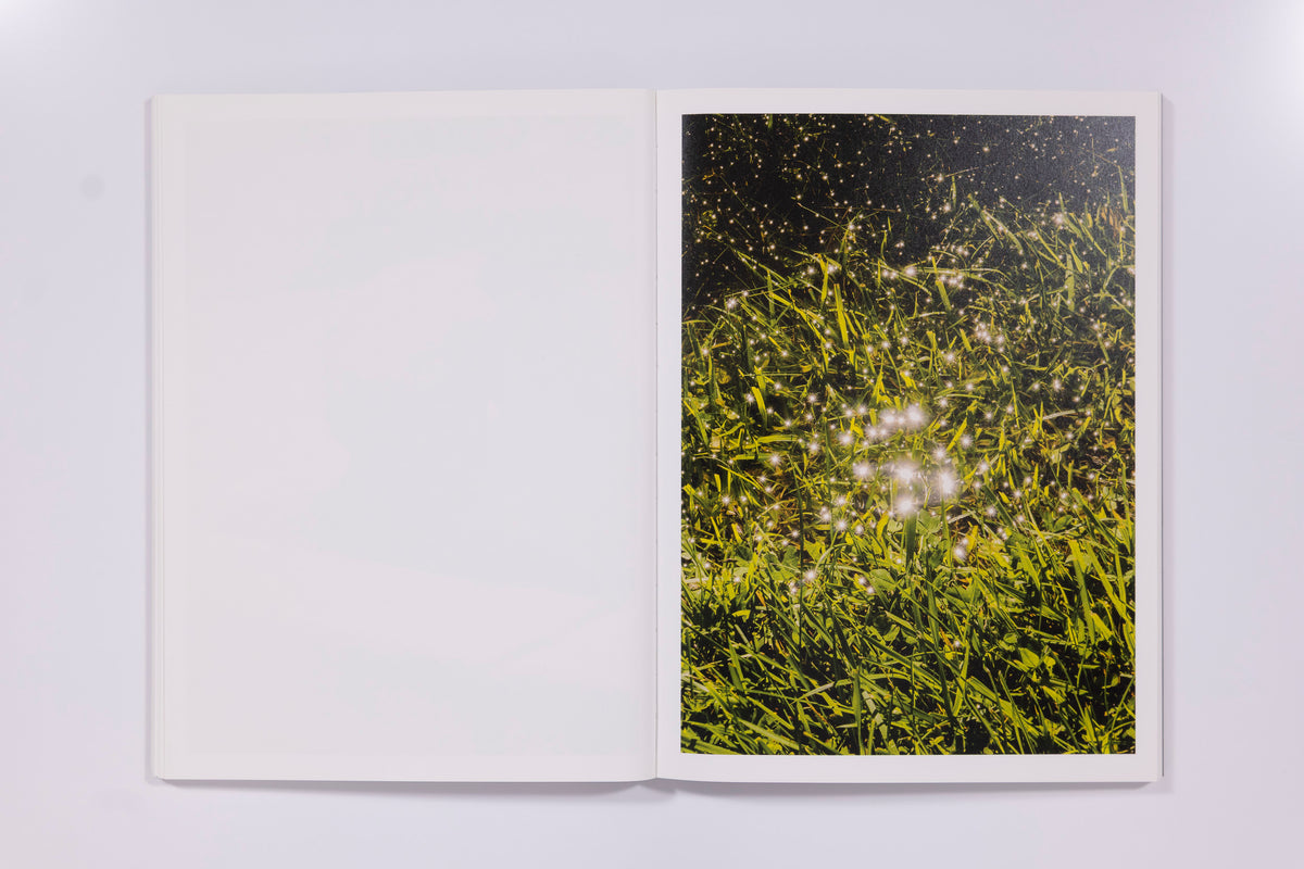 Mike Slack: The Transverse Path (Or Nature's Little Secret)